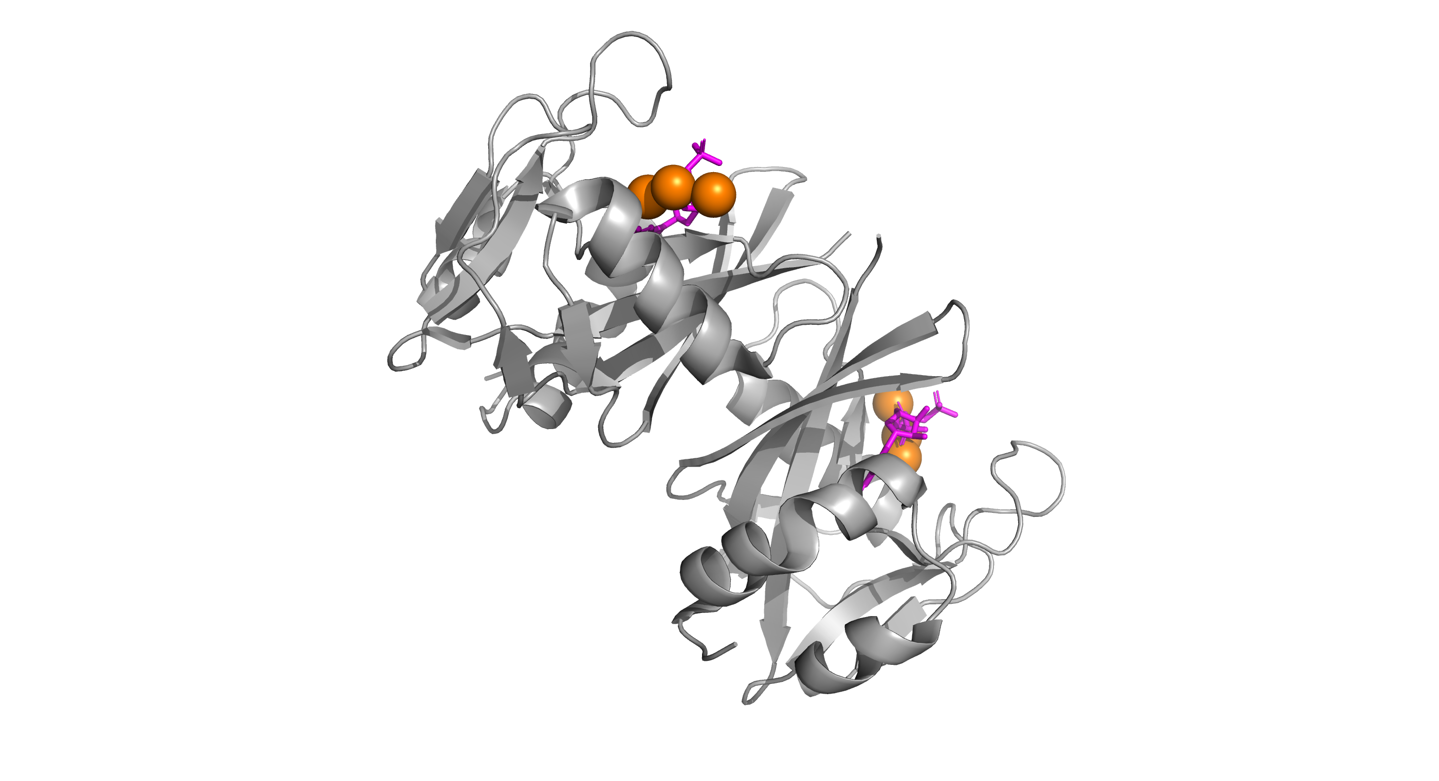 Ионы магния в структуре 3FFU