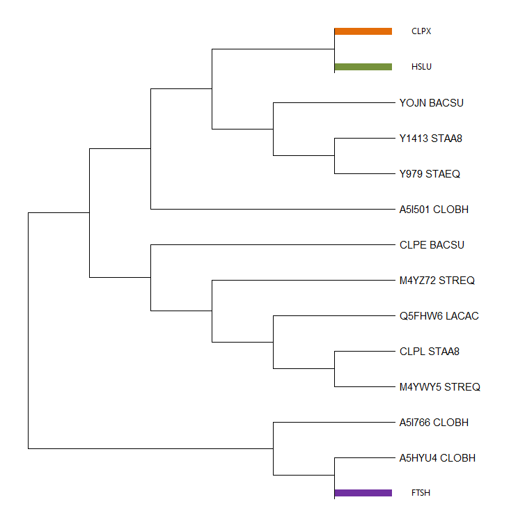 Tree with compressed groups