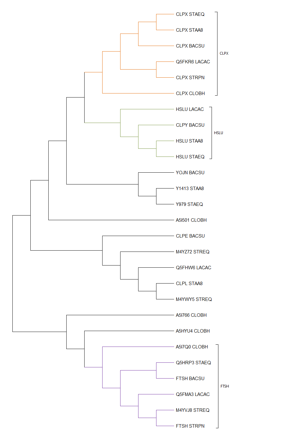 Tree with groups