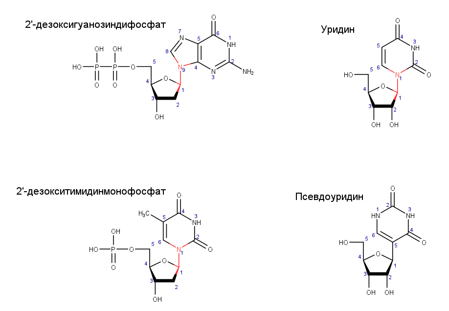 Рисунок 1