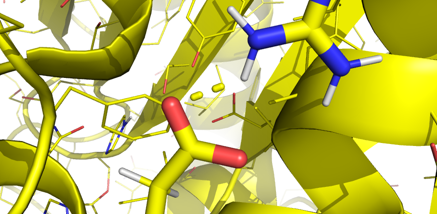 saltbond