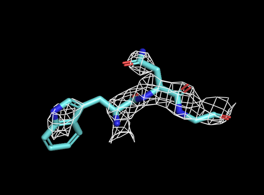 backbone Z=2.5