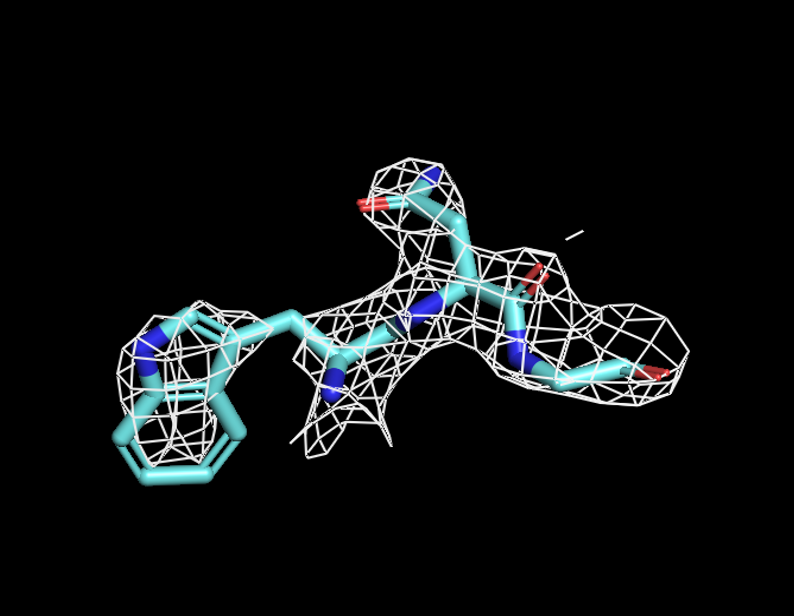 backbone Z=2