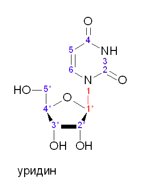 Схема образования уридина